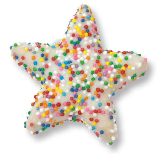 HOLIDAY STAR