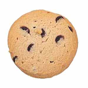 Sugar Free Chocolate Chip