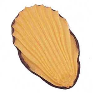Sugar Free Orange Fan